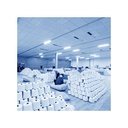 LED Pantalla estanca - GT Series - Samsung - 120lm/w - IP65 - Blanco - 36W- 4320 Lumens - 4000K - 120CM-extra-2.webp