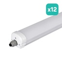 LED Batten Fitting - Serie G - IP65 Waterproof - 18W- 2160 Lumens - 6500K - Pack de 12